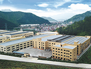 2013年 大（dà）鵬已展翅 當搏（bó）擊長空