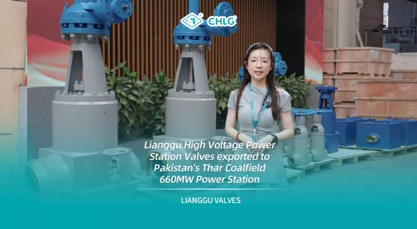 跨越萬裏 共築光明——青青视频国产在线播放高壓電站閥（fá）出口巴基斯坦塔爾（ěr）煤電一體化項目