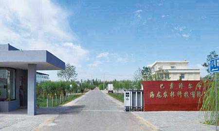 巴（bā）彥淖爾市海龍農林科技有限公司