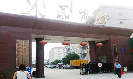 靖西人民公（gōng）安局
